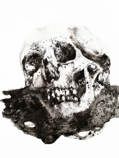 Crâne - encre sur papier  25x35cm 2016