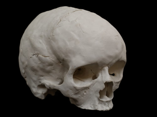 Grand Crâne ; faïence 25x24x20cm